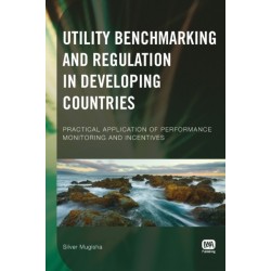 Utility Benchmarking and Regulation in Developing Countries