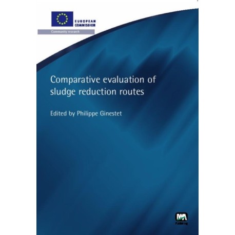 Comparative Evaluation of Sludge Reduction Routes
