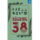 Hägring 38