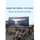 Ibsen between cultures