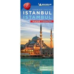 Istanbul Street Map Laminated