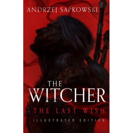 The Last Wish - Illustrated Edition