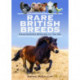 Rare British Breeds: Endangered Species in the UK