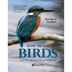 How To See Birds: An Enthusiast's Guide