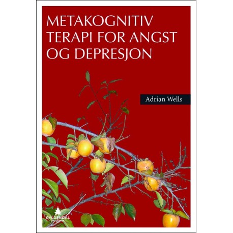 Metakognitiv terapi for angst og depresjon