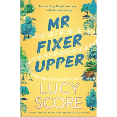 Mr Fixer Upper