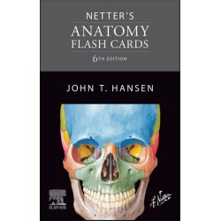 Netter's Anatomy Flash Cards