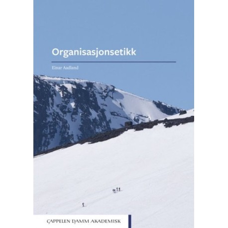 Organisasjonsetikk