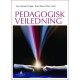 Pedagogisk veiledning