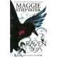 The Raven Boys