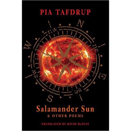 Salamander Sun and Other Poems