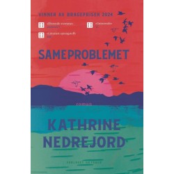 Sameproblemet : roman