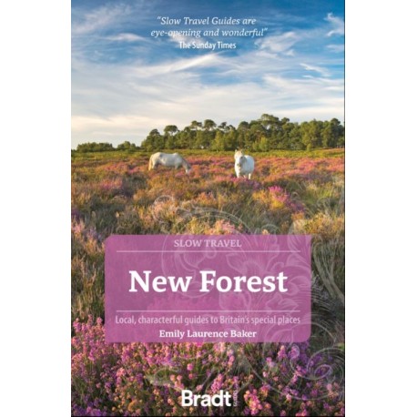 Slow Travel: New Forest