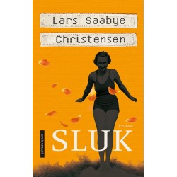 Sluk : roman: roman