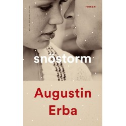 Snöstorm