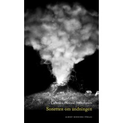 Sonetten om andningen