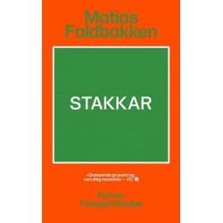Stakkar : roman