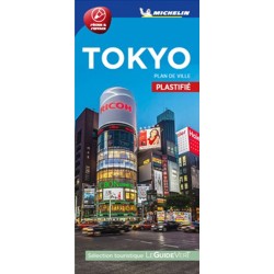 Tokyo Street Map Laminated