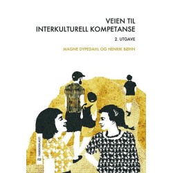 Veien til interkulturell kompetanse