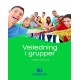 Veiledning i grupper