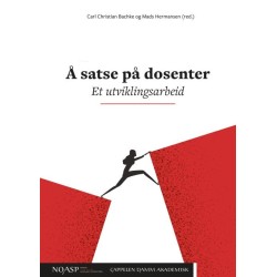 Å satse på dosenter : et utviklingsarbeid