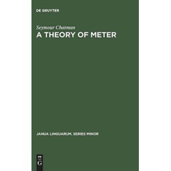 A Theory of Meter