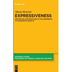 Expressiveness: Perception and Emotions in the Experience of Expressive Objects