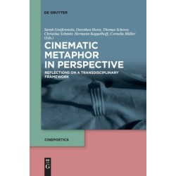 Cinematic Metaphor in Perspective: Reflections on a Transdisciplinary Framework