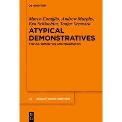 Atypical Demonstratives: Syntax, Semantics and Pragmatics