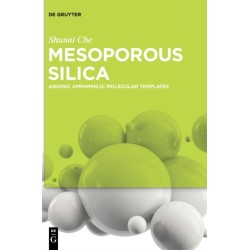 Mesoporous Silica: Anionic Amphiphilic Molecular Templates