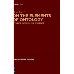 On the Elements of Ontology: Attribute Instances and Structure
