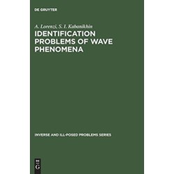 Identification Problems of Wave Phenomena: Theory and Numerics