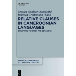 Relative Clauses in Cameroonian Languages: Structure, Function and Semantics