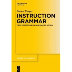 Instruction Grammar: From Perception via Grammar to Action