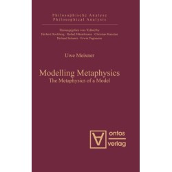 Modelling Metaphysics: The Metaphysics of a Model
