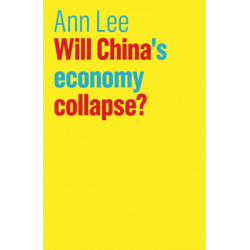 Will China's Economy Collapse?
