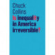 Is Inequality in America Irreversible?