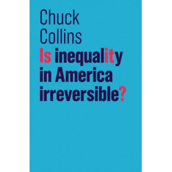 Is Inequality in America Irreversible?