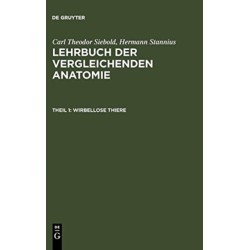 Wirbellose Thiere