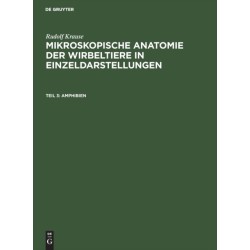Amphibien