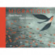 Migrations: Open Hearts, Open Borders