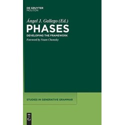 Phases: Developing the Framework