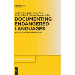 Documenting Endangered Languages: Achievements and Perspectives