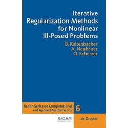 Iterative Regularization Methods for Nonlinear Ill-Posed Problems