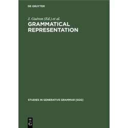 Grammatical Representation