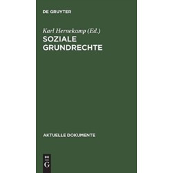 Soziale Grundrechte