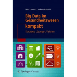 Big Data im Gesundheitswesen kompakt: Konzepte, Losungen, Visionen