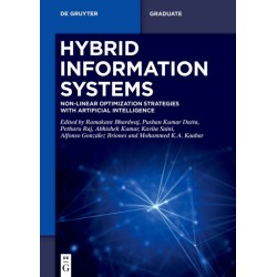 Hybrid Information Systems: Non-Linear Optimization Strategies with Artificial Intelligence