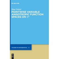 Pointwise Variable Anisotropic Function Spaces on Rn