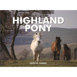 Spirit of the Highland Pony